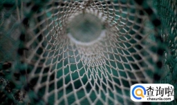 传统捕鱼的工具有哪些