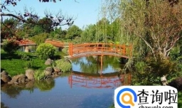 为什么选择去南昆士兰大学留学