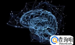 智商、情商的辩证关系