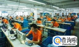 品质异常报告怎么写