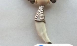 狼牙与狗牙的区别？