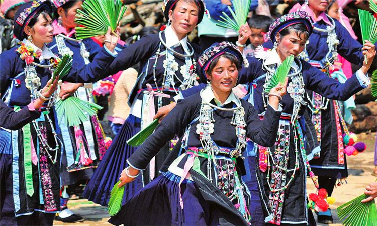 哈尼是什么意思