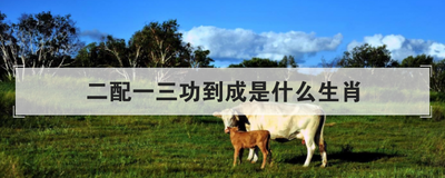 二配一三功到成是什么生肖