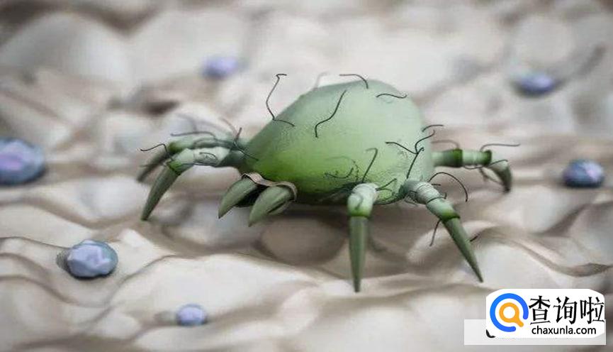 怎么彻底根除螨虫