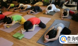 瑜伽大课和私教有哪些区别？哪种更好？