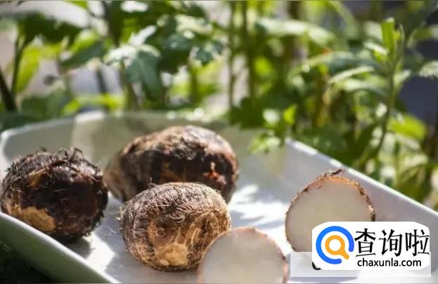 芋头可以治胃病吗