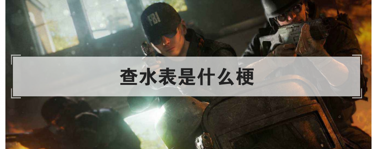 查水表是什么梗