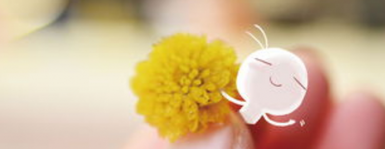 幸福的近义词有哪些