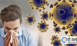 没阳过的人不建议长途旅行