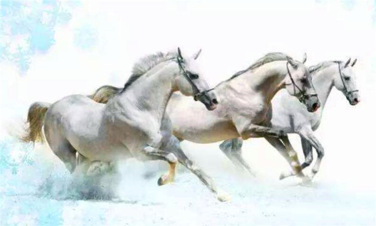 千里马是什么意思