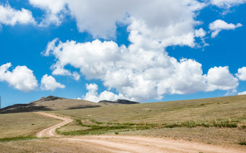 人工选择和自然选择的区别