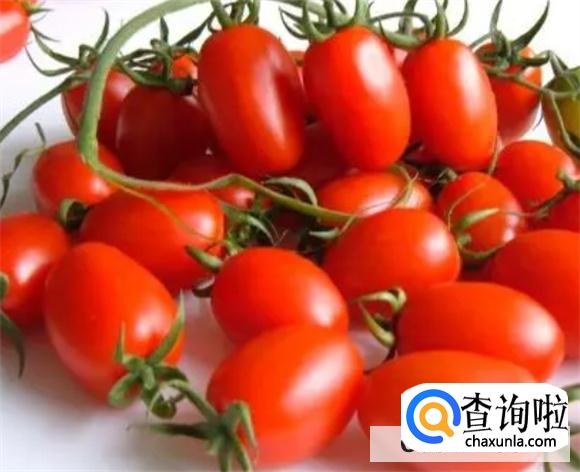 圣女果的营养价值与功效