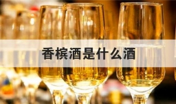香槟酒是什么酒