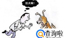 被动物咬伤应该在多少天内注射防狂犬疫苗？