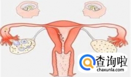 怎么知道自己有没有排卵？