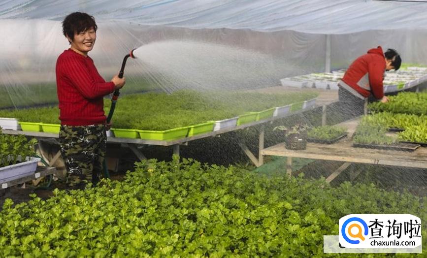 84喷到菜上处理比较好