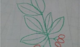 简笔画茱萸的画法