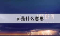 pi是什么意思
