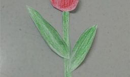 制作简单手工花