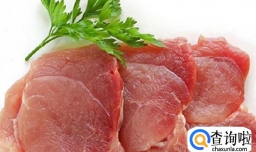 宠物粮里所含营养物质都有什么作用？