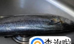 咸鲅鱼的家常做法