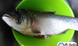 清蒸鲢鱼片的做法