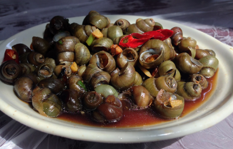 螺蛳是河鲜还是海鲜