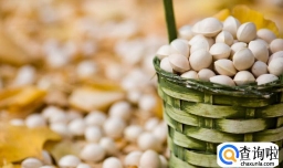 银杏果必须去皮吃吗