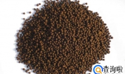 海棠果树怎样养护才能结多果