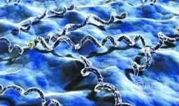 艾滋病和梅毒的区别有哪些