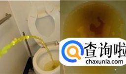 如何管理维护自家的小菜园？