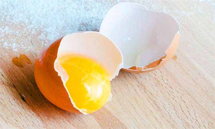 鸡蛋壳的成分有哪些