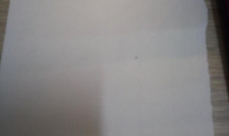 简单利用废旧纸板手工制作小动物