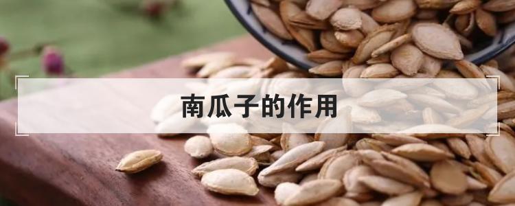 南瓜子的作用