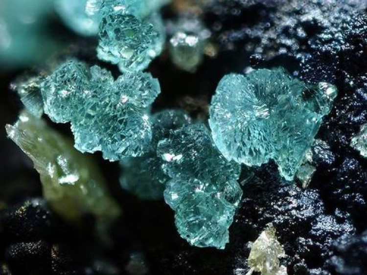 氪金是什么意思