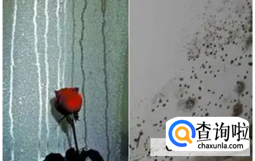 怎样预防回南天屋内潮湿