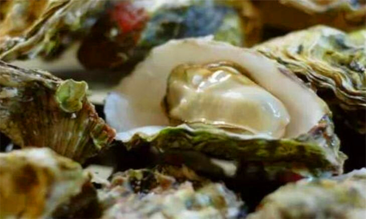 海蛎里面的黑色东西可以吃吗