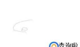 如何画一条虎鲸——加菲的吃货生活