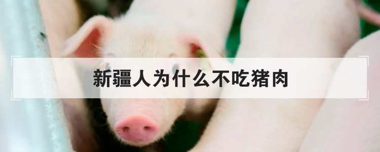 新疆人为什么不吃猪肉