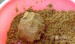 钓鱼鱼饵怎么配比较好