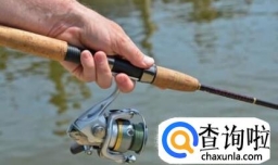 新手钓鱼怎么样选购鱼竿