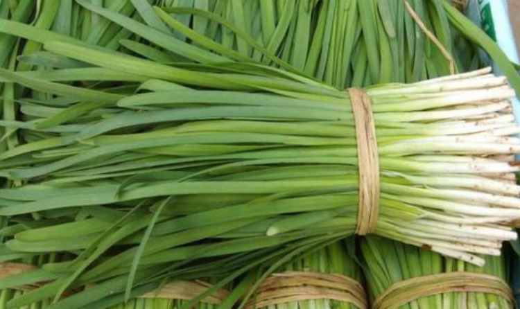 韭菜老了怎么处理