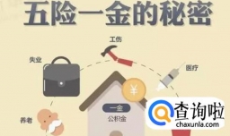 社保断交有什么影响