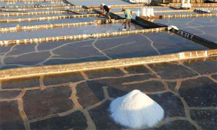 盐是怎么形成的