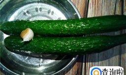 黄瓜怎么炒好吃？家常素炒黄瓜的做法