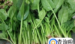 如何去除身上的鸡皮肤？