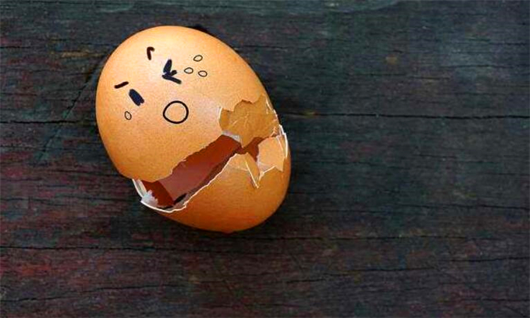 鸡蛋壳的成分有哪些