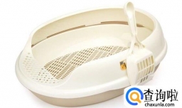 怎么教猫咪用猫砂