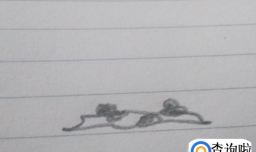 草的简笔画怎么画