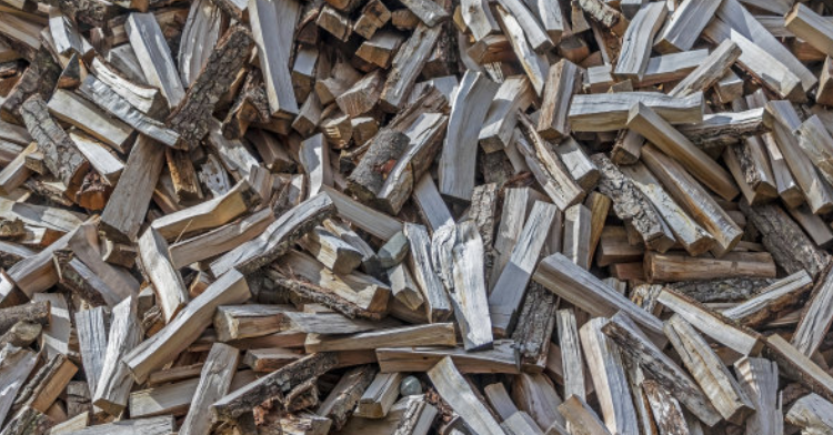 忍冬藤的功效与作用